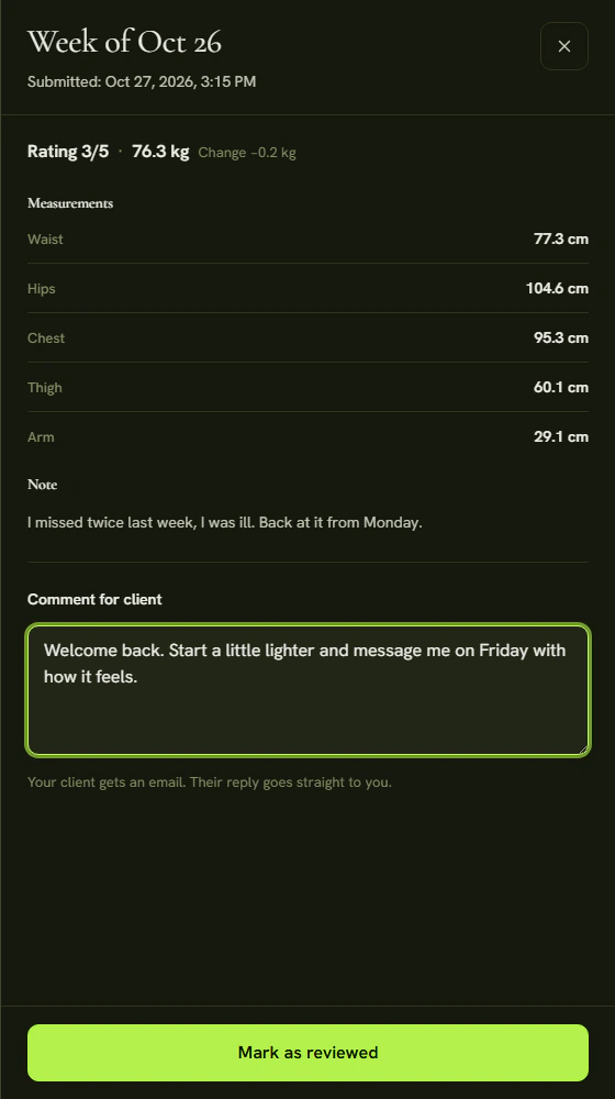 A check-in detail with the Comment for client field and the Mark as reviewed button